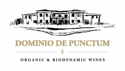 Logo Dominio de Punctum